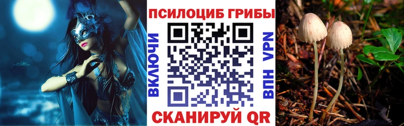 Галлюциногенные грибы MAGIC MUSHROOMS  Купить закладки  Лангепас 